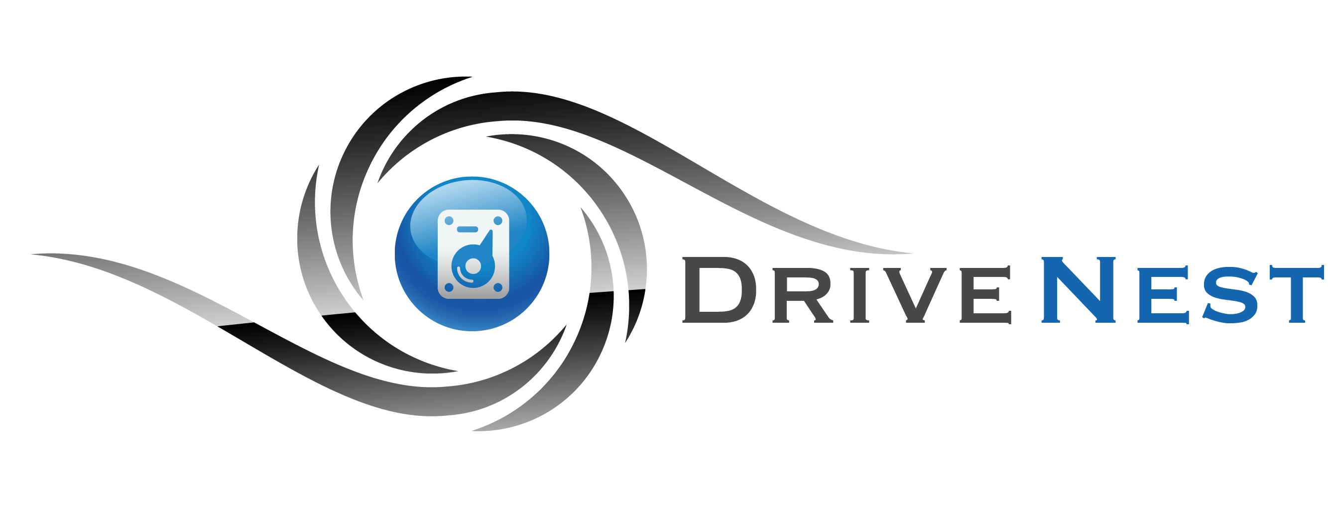 DriveNest Logo